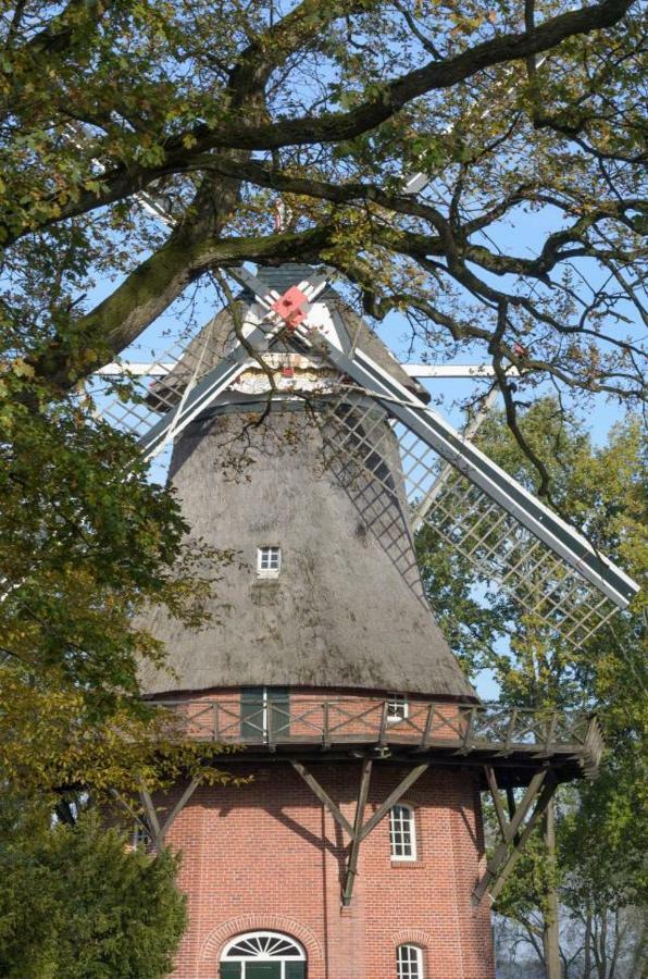 Ferienhaus Kleine Oase Varel Dış mekan fotoğraf